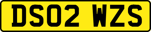 DS02WZS