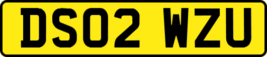DS02WZU