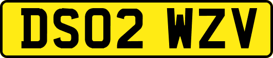 DS02WZV