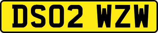 DS02WZW