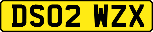 DS02WZX