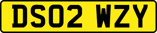 DS02WZY