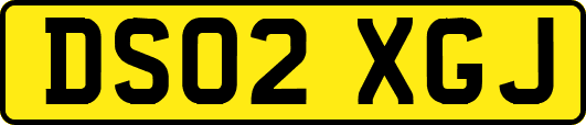 DS02XGJ