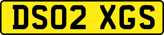DS02XGS