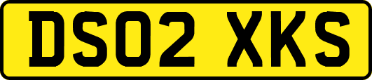 DS02XKS