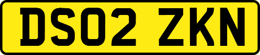 DS02ZKN