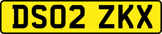 DS02ZKX