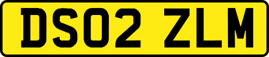 DS02ZLM