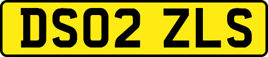 DS02ZLS