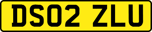 DS02ZLU