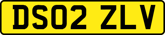 DS02ZLV