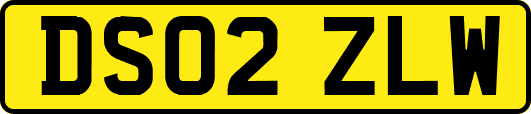 DS02ZLW