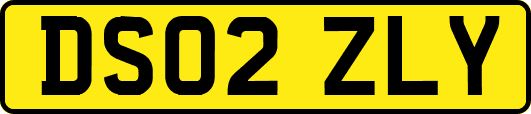 DS02ZLY