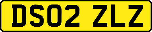 DS02ZLZ