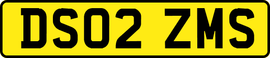 DS02ZMS