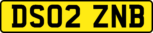 DS02ZNB