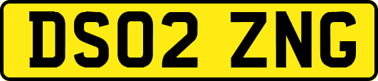 DS02ZNG