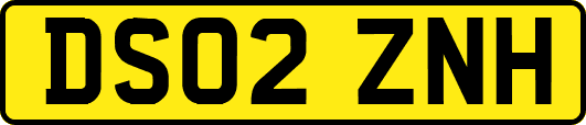 DS02ZNH