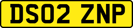 DS02ZNP