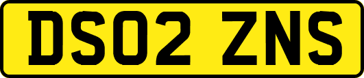 DS02ZNS