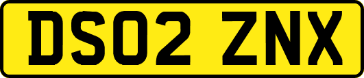 DS02ZNX