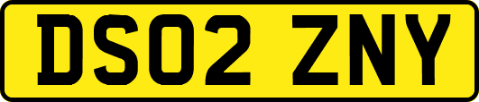 DS02ZNY