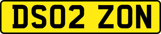 DS02ZON