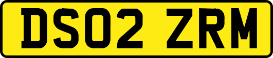 DS02ZRM