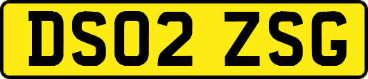 DS02ZSG