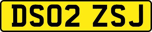 DS02ZSJ