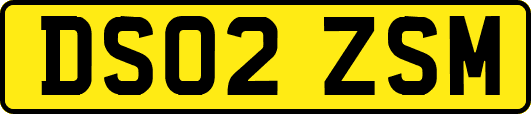 DS02ZSM