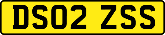 DS02ZSS
