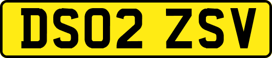 DS02ZSV