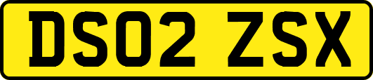 DS02ZSX