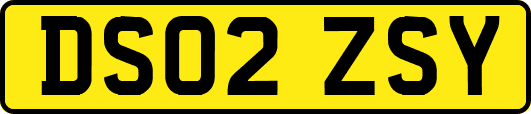 DS02ZSY