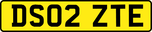 DS02ZTE