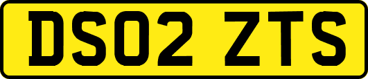 DS02ZTS