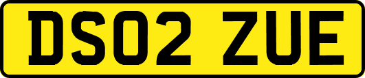 DS02ZUE
