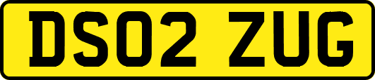DS02ZUG