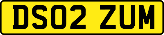 DS02ZUM