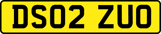 DS02ZUO