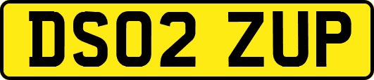 DS02ZUP