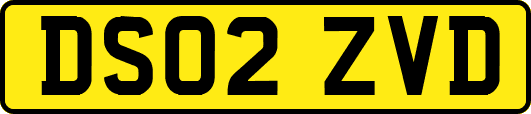 DS02ZVD
