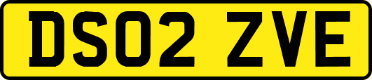 DS02ZVE