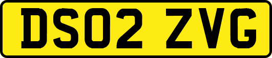 DS02ZVG