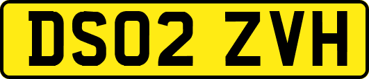 DS02ZVH