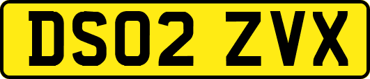 DS02ZVX