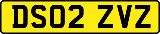 DS02ZVZ