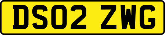 DS02ZWG