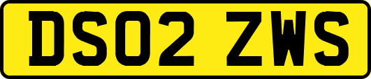 DS02ZWS